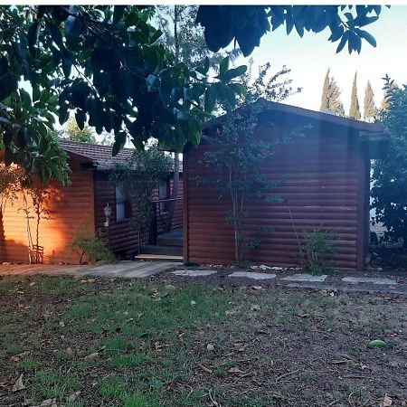 A Fun Holiday In The Galilee Sede Eli'ezer المظهر الخارجي الصورة
